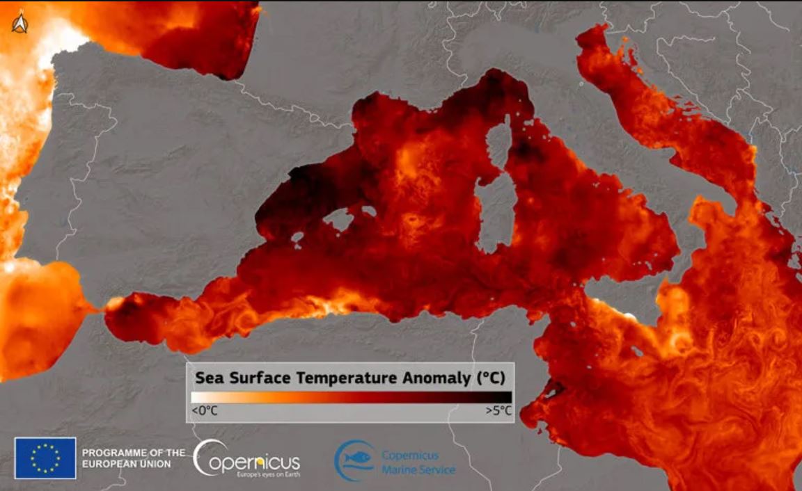 Mappa che illustra il surriscaldamento del Mar Mediterraneo