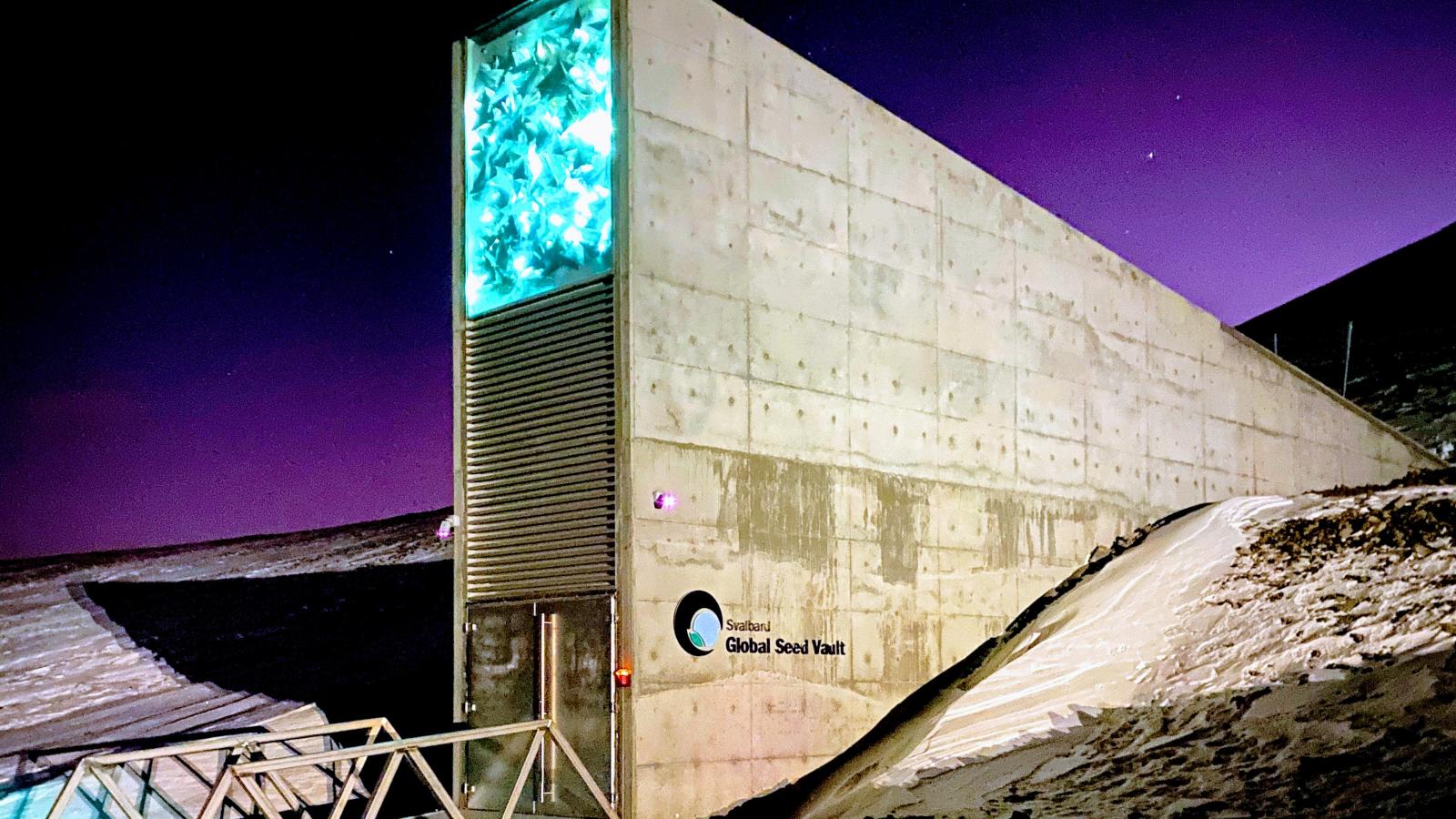 Ingresso al Global Seed Vault, edificio scavato nella roccia con luci notturne