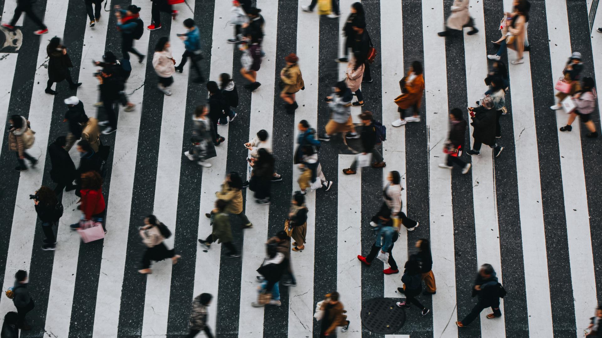 persone camminando su strada attraversano su strisce bianco nero